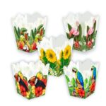 02_1160 CACHEPO TROPICAL C10 SF