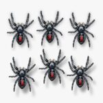 Aranha c06