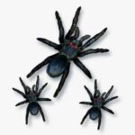 Kit Aranha c03