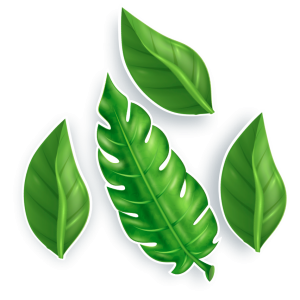 Folhas c/04 un Pequena