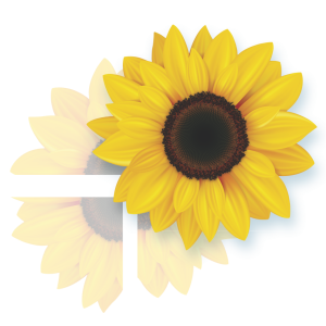 Girassol Gigante Montável c/4 fls c/01 un