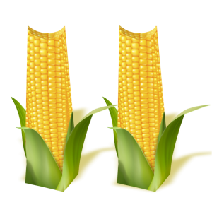 Caixinha Milho c/04 un