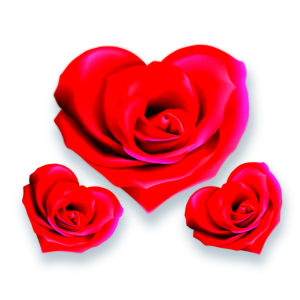 Kit Coração Rosa c/03 un