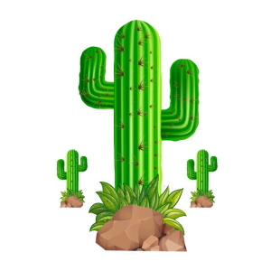 Kit Cactos c/03 un