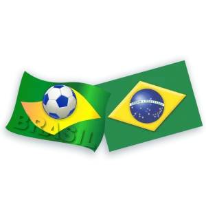 Kit Bandeira c/02 un