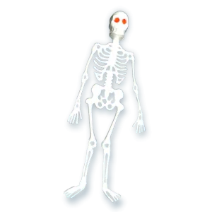 Esqueleton Branco