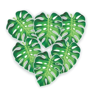 Costela de Adão c/06 un Pequena