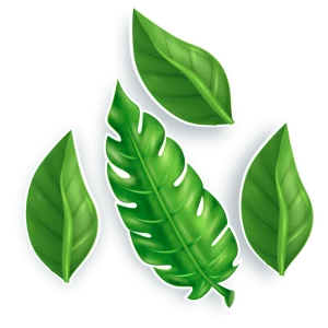 Folhas c/04 un Pequena