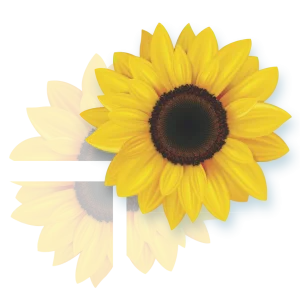 Girassol Gigante Montável c/4 fls c/01 un