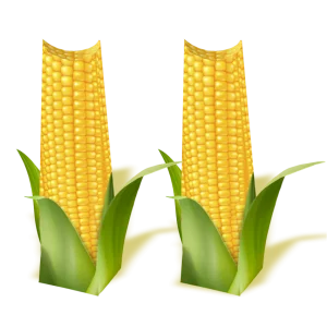 Caixinha Milho c/04 un