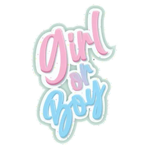 Painel Chá Revelação c/01 un