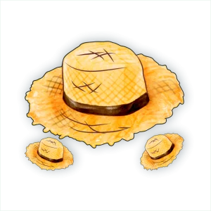 Kit Chapéu Junina c/03 un