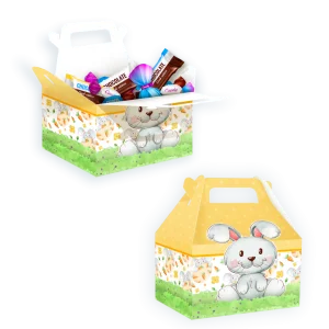 Caixa Maleta Kids II Sem Visor un